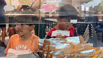 15 more Hillsborough schools to get free after-school meals as need grows