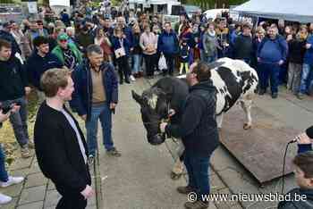 Altijd feest op Posse Leest