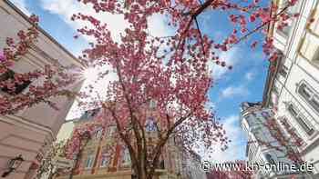 Wetter in Deutschland: Erst Regen, am Wochenende dann bis zu 25 Grad
