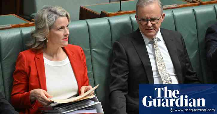 Labor ministers warned over expanded use of AI in immigration and biosecurity decisions