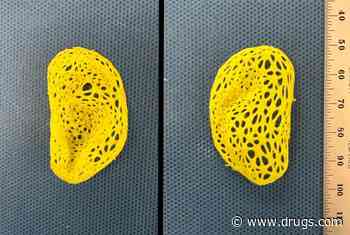 Scientists Get Closer to Realistic Replacement Human Ear