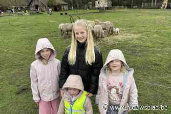 Lammetjesfeest bij Ferme NeElke: “Als we niet zo dichtbij woonden, we zouden hier op vakantie komen”