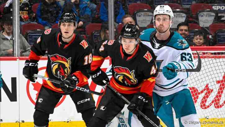 Wranglers drop Sunday decision to Barracudas 4-1 but clinch playoff spot nevertheless