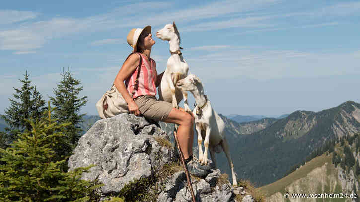 Lebensglück im Mangfallgebirge: Sennerin Martina Fischer über ihre Sommer auf der Alm