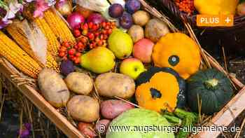 Neues Projekt verdient Unterstützung: Landwirtschaft muss auch erklären