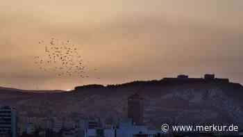 Iranischer General bei Explosion in Damaskus getötet