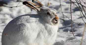 Your Saskatchewan photo of the day: April 2024