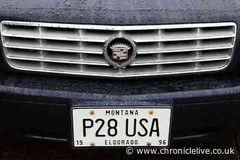 Car owners brave the rain to showcase American autos at St Peter's Marina