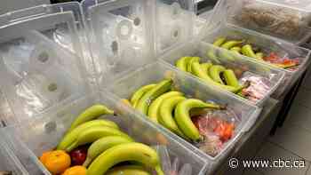 Federal government commits to creation of national school food program