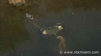 Body found inside submerged car in Parkland canal