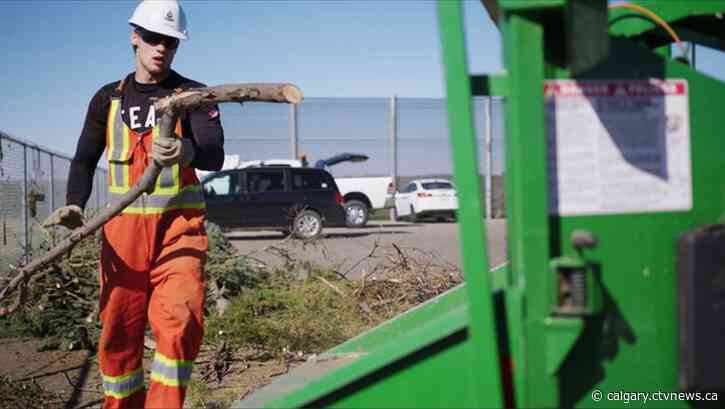 Lethbridge opens 3 seasonal yard waste sites Tuesday