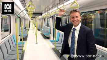 Fast rail could be delivered to Newcastle and Nowra within 20 years, former transport minister says