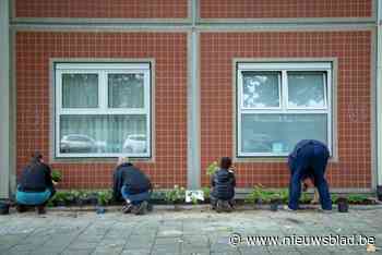 Duffel doet voor tweede keer mee aan Vlaams Kampioenschap Tegelwippen