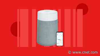 Save 25% Off Blueair Blue Pure Max Air Purifiers With Our Exclusive Discount Code     - CNET