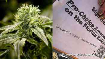 Florida Supreme Court approves abortion and recreational marijuana amendment proposals