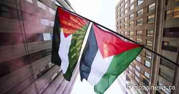 Pro-Palestinian protesters say cops used excessive force; Toronto police reject claim