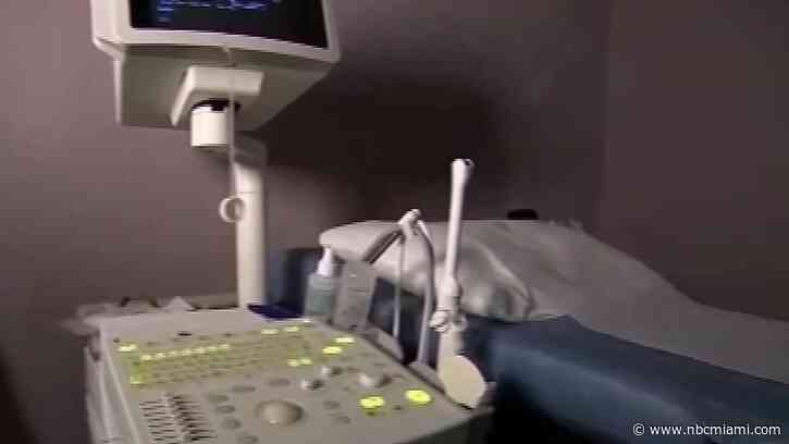 Florida Supreme Court upholds state's 15-week abortion ban, but voters will soon have a say