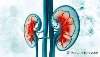 CKD Progression Risk Up With Increasing Albuminuria in Normal Range