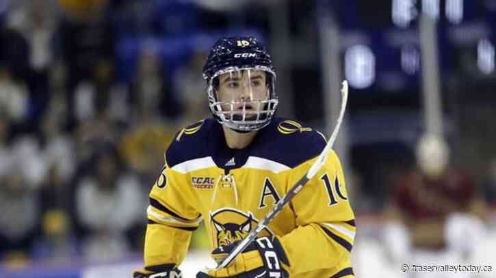 Toronto Maple Leafs ink Quinnipiac University standout Jacob Quillan