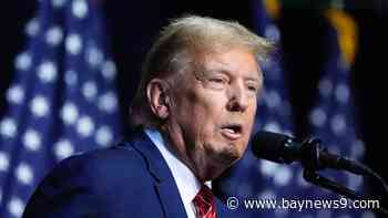 Donald Trump posts $175 million in civil fraud case, halting collection of massive judgment