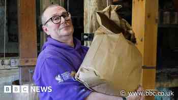 'The daily grind - that's my dream job'