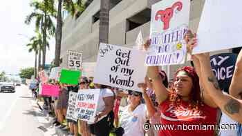 Abortion rights supporters hopeful over Amendment 4 on ballot despite 6-week ban