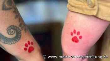 50 Euro für eine Pfote: Wie ein Tätowierer mit Pfoten-Tattoos dem Tierheim hilft