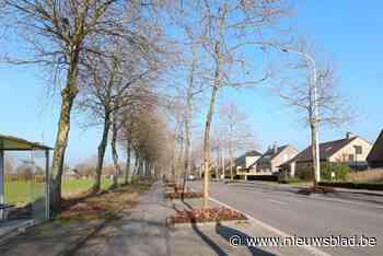 Herinrichting Moerstraat van start na paasvakantie