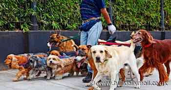 Have you got what it takes to start a successful side hustle? Take this quiz to find out