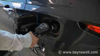 Florida's average gas prices see another small drop