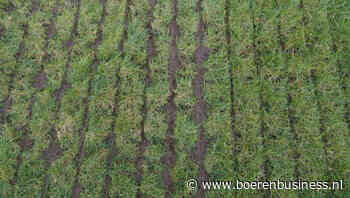 Ook nieuwe LTO-voorman kiest niet voor de blijvers