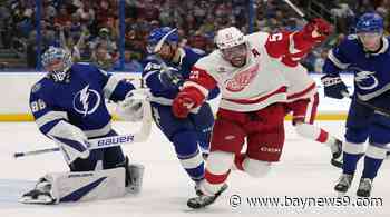 Red Wings halt Lightning's win streak at three