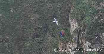 Coastguard warning to pet owners as dog sadly dies in 100m fall from Bempton clifftop