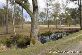 Pasar gaat op stap in Duivelskuil
