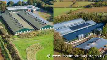 Two poultry farms with combined £4.9m guide price put up for sale