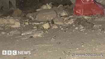 Mum's despair over rats in housing association home