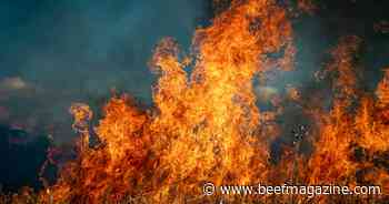 TSCRA Disaster Relief Fund still accepting applications from wildfire victims