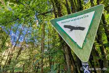 Jäger warnen Hundehalter vor tödlicher Krankheit