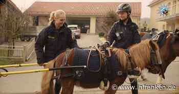 Neuer James Bond in Franken und Polizei-Ponys im Einsatz - die besten Aprilscherze 2024