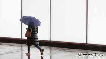 Hamilton, Niagara and region should expect an 'early spring storm,' Environment Canada says