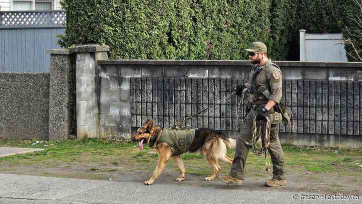 One man detained following police incident on Watson Road in Chilliwack Monday evening