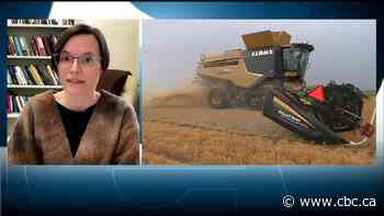 What can the Dirty ‘30s teach us about drought management today?