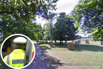 Woman assaulted by dog walker near Bushy Park’s Sandy Gate