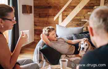 Playtime, Being Social Helps a Dog's Aging Brain, Study Finds