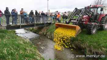 831 Enten schwimmen um die Wette