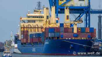 Birkenholz an Bord – Zoll setzt Frachter aus Russland fest