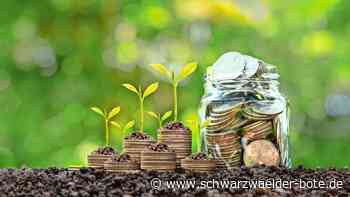 Zu wenig überbaubarer Fläche: Ein Fehler, der Neubulach Öko-Punkte kostet