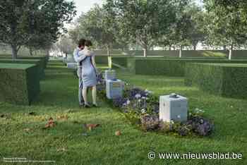 Wervik maakt werk van sterrentuin en begraafbos: “Terug een weg van vernieuwing inslaan”