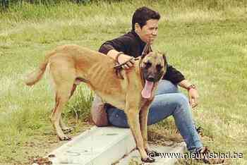 Elke (45) moet haar dierenvoedselbank sluiten: “De knoop is voor ons doorgehakt”