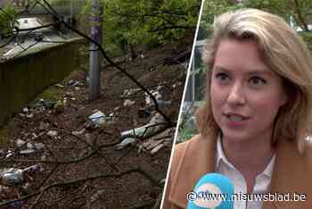 Sluikstorters dumpen afval op berm tussen Ring en Singel: stukje groen ligt er enorm vervuild bij